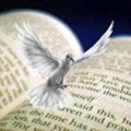 bible_spirit_dove